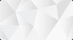 <b>本年大会仍是对过去一年伙伴的总结</b>